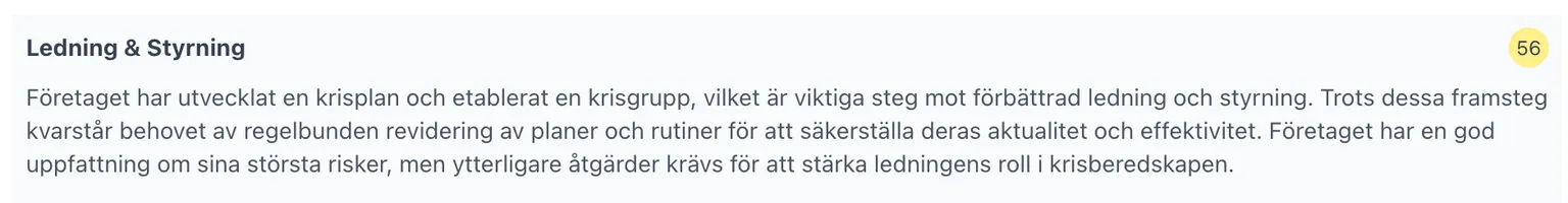 Analys Ledning & Styrning