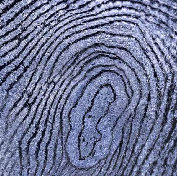 Myndigheters lägesbild och årsrapporter om säkerhetsläget