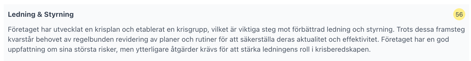 Analys Ledning & Styrning